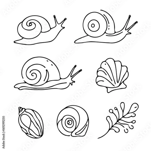 Fototapeta Collection Various Outline Black And White Drawing Seashells. Set Hand Drawn Doodle Snails and Shells, Starfish sketch Illustrations. Line Art Coastal Themes. Sea Elements, Marine Mollusks, Corals