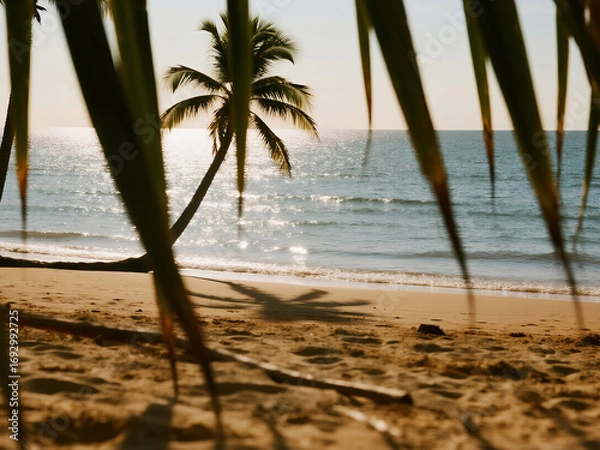 Obraz Scenic tropical beach with palm trees and soft golden sand under warm sunset light. Palm leaves framing the view of the ocean, creating a relaxing summer holiday atmosphere.