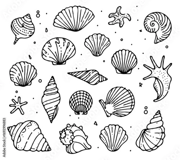 Fototapeta Collection Various Outline Black And White Drawing Seashells. Set Hand Drawn Doodle Snails and Shells, Starfish sketch Illustrations. Line Art Coastal Themes. Sea Elements, Marine Mollusks, Corals