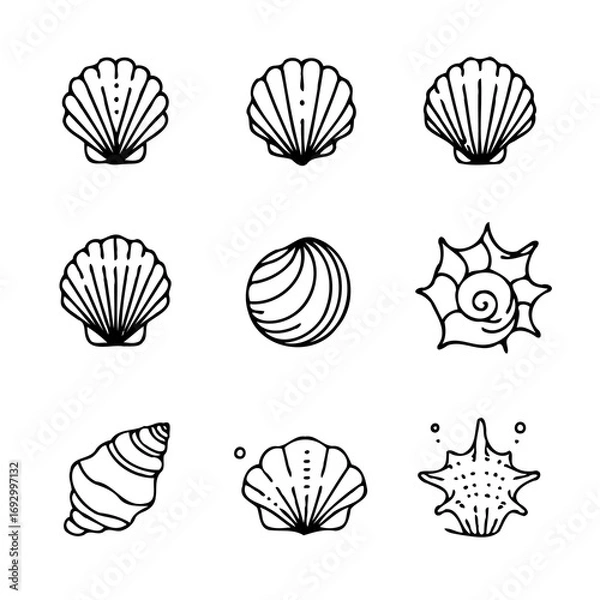 Fototapeta Collection Various Outline Black And White Drawing Seashells. Set Hand Drawn Doodle Snails and Shells, Starfish sketch Illustrations. Line Art Coastal Themes. Sea Elements, Marine Mollusks, Corals