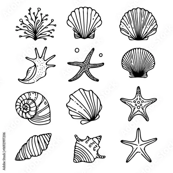 Fototapeta Collection Various Outline Black And White Drawing Seashells. Set Hand Drawn Doodle Snails and Shells, Starfish sketch Illustrations. Line Art Coastal Themes. Sea Elements, Marine Mollusks, Corals