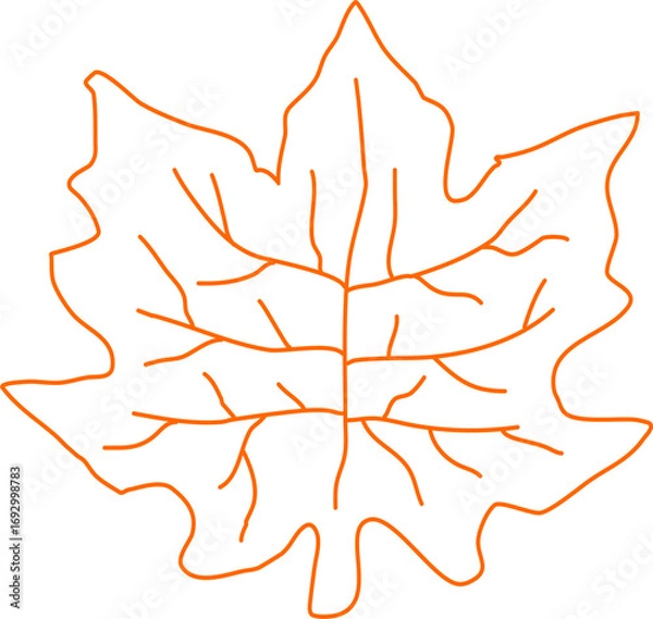 Obraz maple leaf vector image