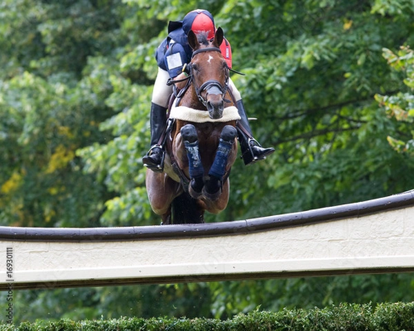 Obraz Horse Obstacle Jump