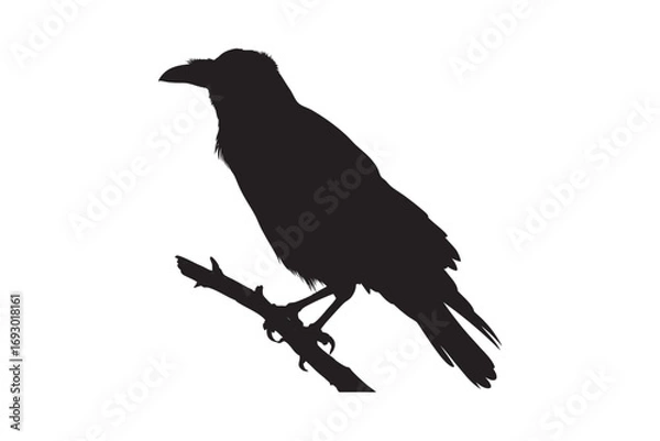 Obraz A stark black silhouette of a raven perched on a thin branch against a clean white background symbolizing mystery and nature silhouette