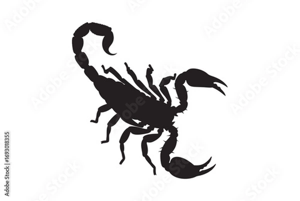 Obraz Detailed black silhouette of a scorpion with its tail raised in a threatening pose on a white background