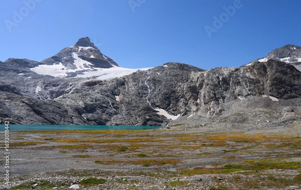Fototapeta The peak Granta Parey and the Goletta glacier in the Graian Alps in Italy. Glacial lake Goletta of turquoise color, fed by the melting waters of the glacier. Hiking trail from refuge Benevolo.