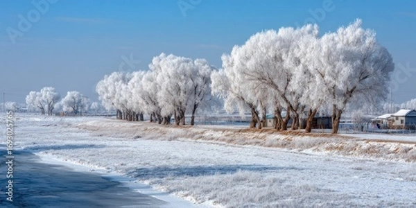 Fototapeta Winter Wonderland: Frost-Covered Trees Line a Frozen River