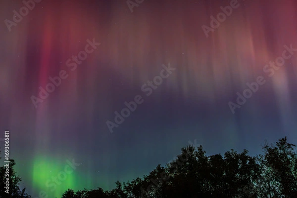 Obraz Nothern Lights in Hamilton park, Ancaster, Soutthern Ontario, Canada
