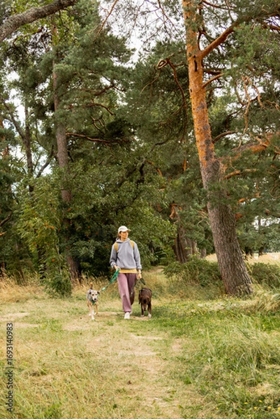 Fototapeta person walks two dogs on a path in a forest or park. canine are on leashes, and the woman is wearing hat. Pet training with handler, professional dog walker, dog sitter. animals in nature.