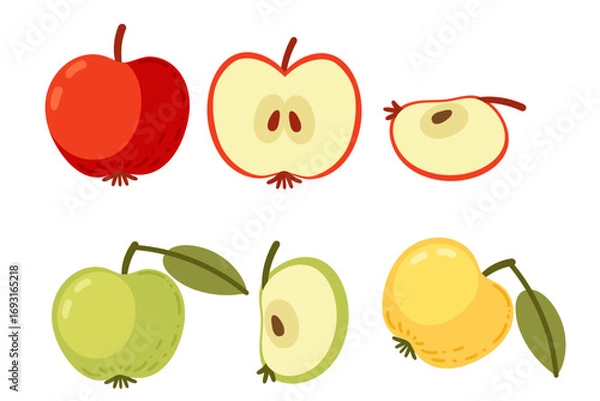 Fototapeta Apple collection in different colors. Red, green and yellow fruits with leaves. Whole apples and cut halves with seeds. Fresh healthy fruit set. Vector illustration isolated on white background