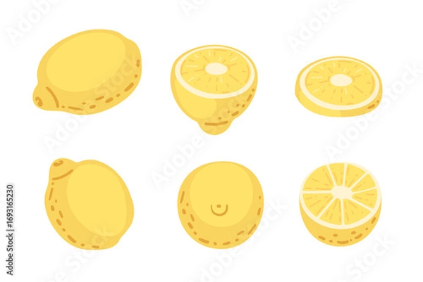 Fototapeta Lemon fruit collection. Yellow citrus with textured peel in whole and half forms. Sliced segments with visible pulp. Fresh sour fruit elements. Vector illustration isolated on white background