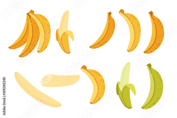 Fototapeta Banana collection. Yellow tropical fruits in bunches, peeled and single forms. Ripe and green varieties. Fresh healthy elements in flat style. Vector illustration isolated on white background