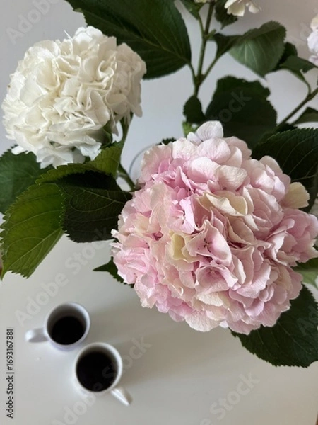 Fototapeta Hydrangeas on a table with two cups of coffee.