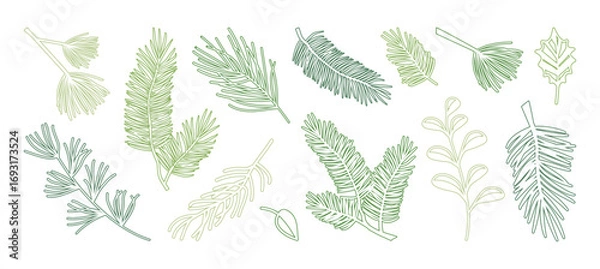 Fototapeta Winter pine, fir branch line icon. Christmas tree and leaf outline design. Spruce needle and evergreen plant hand drawn, cedar twig editable stroke, Xmas decoration isolated on bg. Vector illustration