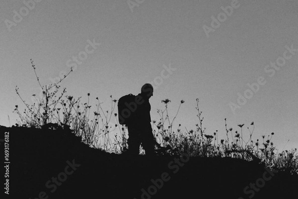 Fototapeta Silhouette of a lone hiker with a backpack standing on a hill at twilight, surrounded by wild grasses against a deep blue evening sky.