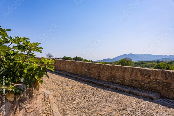 Fototapeta Le vieux Pont du Diable de Céret en France