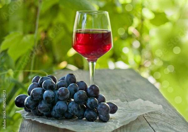 Obraz A glass of red wine and a brush of grapes on a wooden table, in a garden with a vine