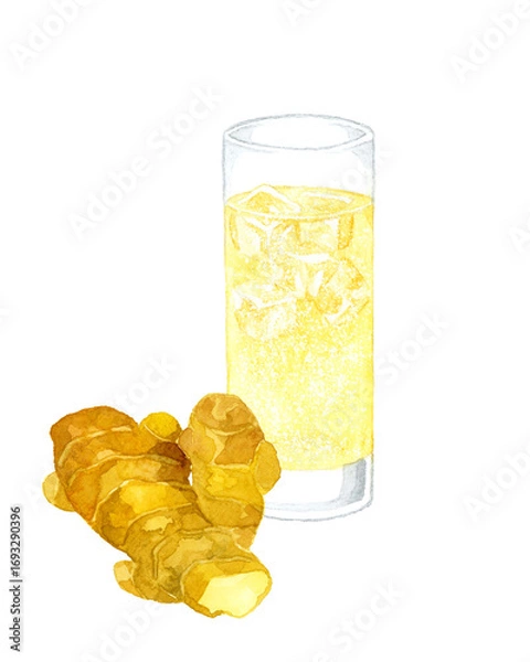 Fototapeta ジンジャーエールと生姜　飲み物の手描き水彩イラスト素材