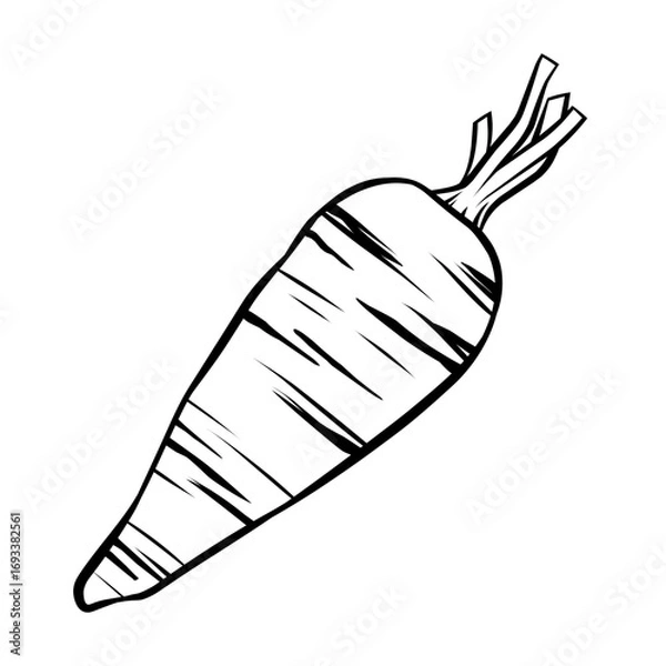 Fototapeta Carrot line drawing, black on white background, vector illustration.