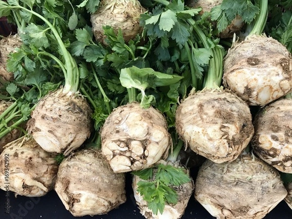 Fototapeta cery root