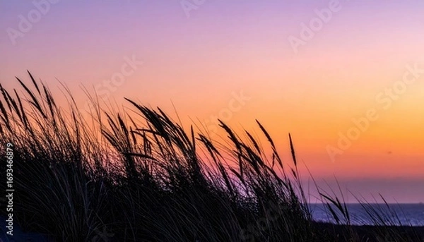 Fototapeta Dune grass silhouettes at twilight gradient sky wallpaper representing natural coastal detail suitable for atmospheric seascape design