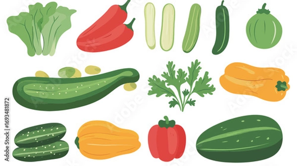 Obraz Cucumber – Vector Graphic Design