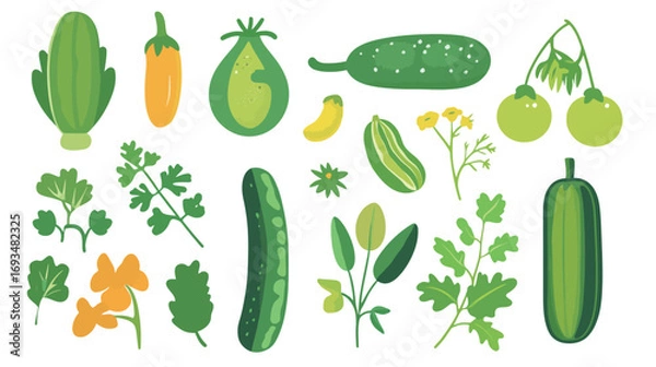 Obraz Cucumber – Vector Graphic Design