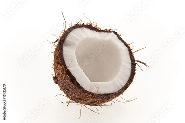 Obraz orzech kokosowy