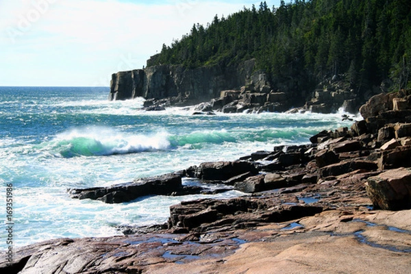 Obraz Otter Cliffs-Igor 2010