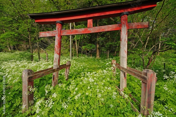 Obraz 花に埋もれる神社