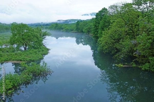 Obraz 初夏の湖畔