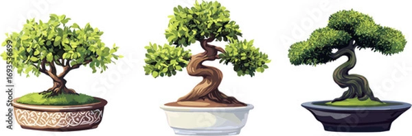Fototapeta 3 sets of bonsai plants in different styles isolated on a white background. Cutout illustration.