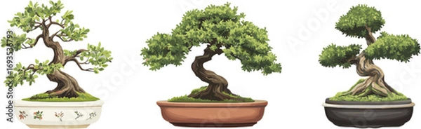 Fototapeta 3 sets of decorative bonsai plants. Vector illustration