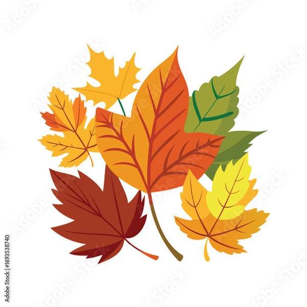 Fototapeta Vibrant autumn maple leaves in a colorful cluster