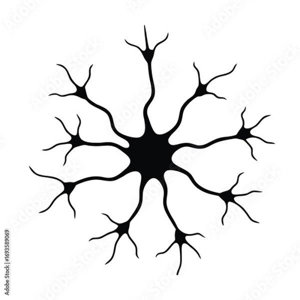 Fototapeta nerve cell vector neuron silhouette on white background 