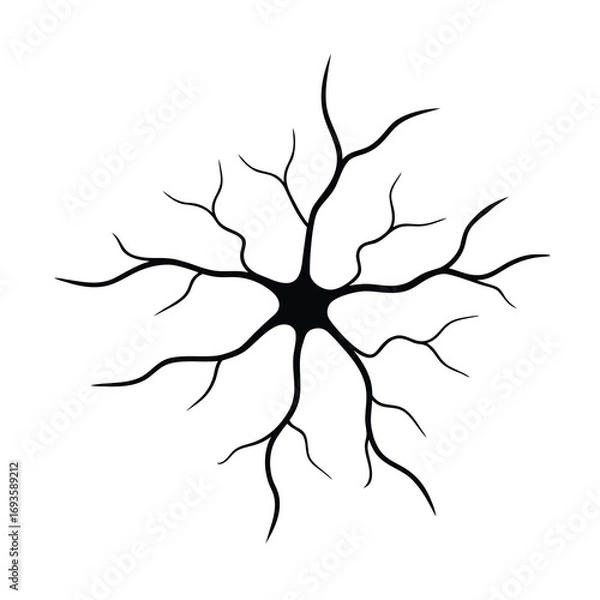 Fototapeta nerve cell vector neuron silhouette on white background 