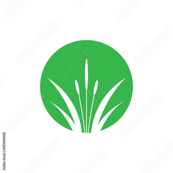Fototapeta Stylized green grass logo vector symbol design