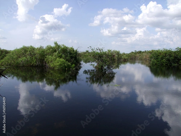 Obraz Floride - Everglades