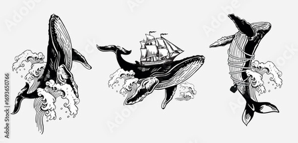 Obraz Engraving surreal whales set — breaching whale, whale with sailing ship on back, whale tied by rope to castle. Vector illustrations