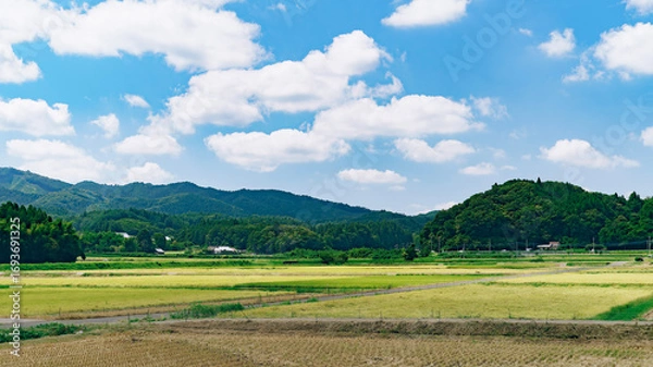 Obraz 日本の田舎