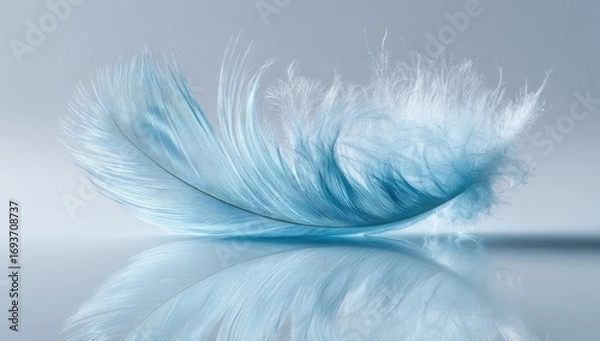 Fototapeta Light blue feather, gently curved, reflecting on a smooth surface