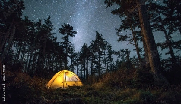 Fototapeta Illuminated tent under a starry night sky in a forest (1)