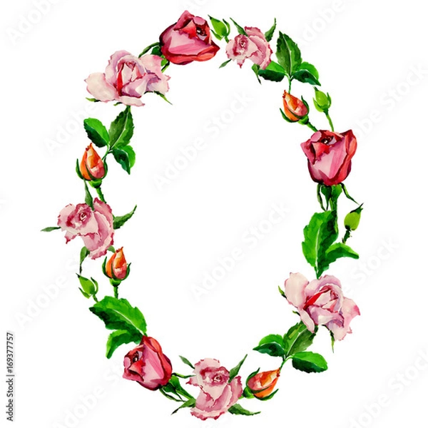 Fototapeta Wildflower rose flower wreath in a watercolor style. Full name of the plant: rose. Aquarelle wild flower for background, texture, wrapper pattern, frame or border.