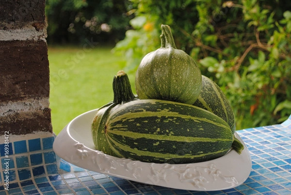 Fototapeta Kürbisse 