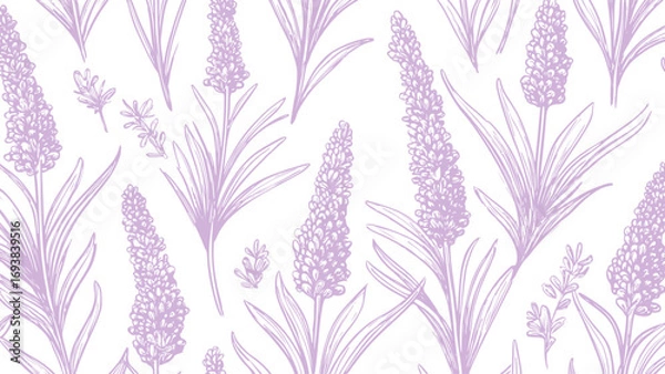 Fototapeta Botanical hand drawn lavender print seamless pattern old vintage calligraphy style purple pattern on white background, sketch natural plant style.
