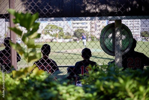 Obraz フェンス越しに見える応援する野球選手たちの後ろ姿