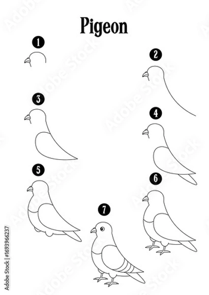 Fototapeta How to draw step by step pigeon drawing for kids