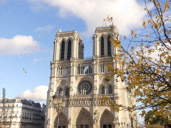 Obraz Cathédrale Notre Dame de Paris France automne