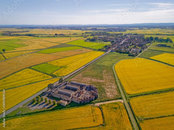 Obraz Aerial view photo, taken by a drone, of the paddy fields ready to be harvested in Lomellina, northern Italy. Lomellina is a countryside area between Piedmont and Lombardy Regions (Northern Italy).