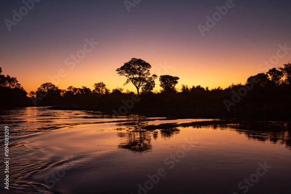 Fototapeta Breathtaking landscape of the Pantanal at dusk, with silhouettes of trees reflected on the water. Corumba, Mato Grosso do Sul, Brazil. Brazilian nature and wilderness.